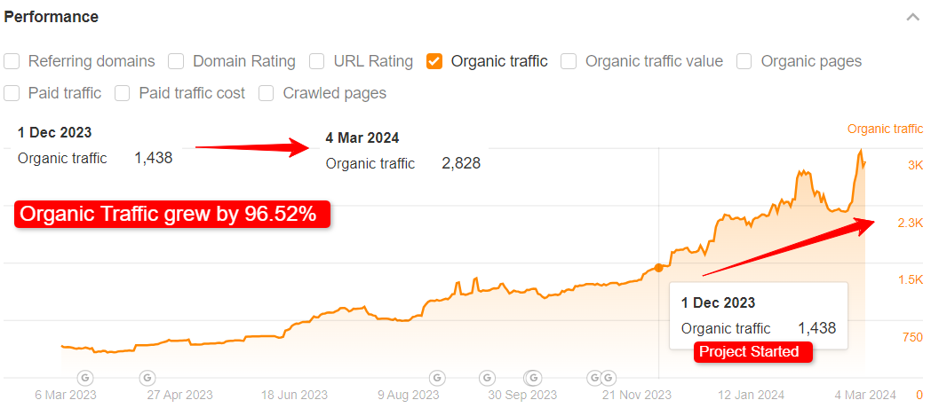 eCommerce SEO Case Study